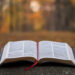 Pastor dá conselho aos jovens: ‘Ame e estude a Bíblia’