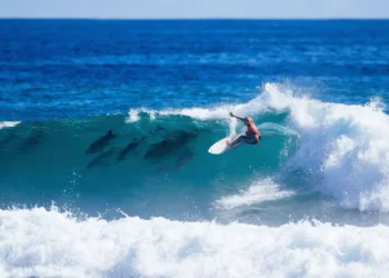 surfista é acompanhada por golfinhos em onda