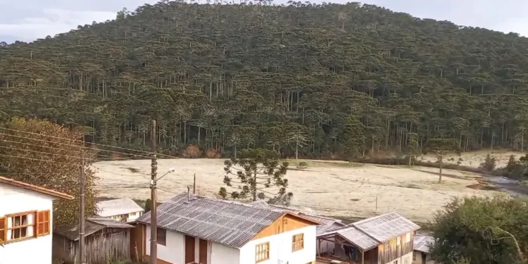 Santa Catarina tem geada e sensação térmica de -26,9°C