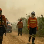 Bombeiros tentam combater incêndios no Pantanal em junho de 2024