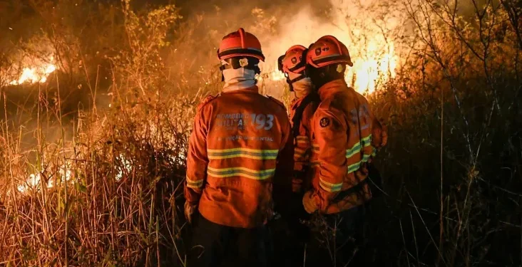 Devastado por incêndios, Pantanal tem crise hídrica