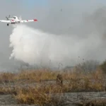 Bombeiros tentam combater incêndios no Pantanal em junho de 2024