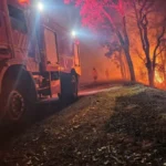 Bombeiros tentam combater incêndios no Pantanal em junho de 2024