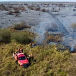 Bombeiros tentam combater incêndios no Pantanal em junho de 2024