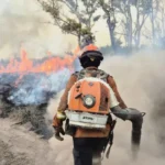 Bombeiros tentam combater incêndios no Pantanal em junho de 2024